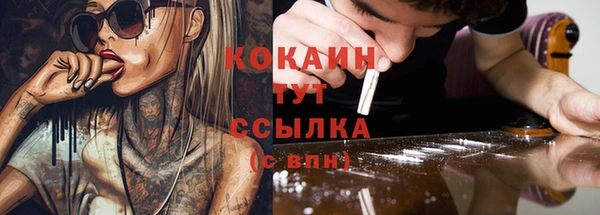 прущие крисы Алзамай