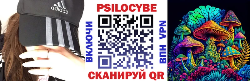 Галлюциногенные грибы Psilocybe  Славск 